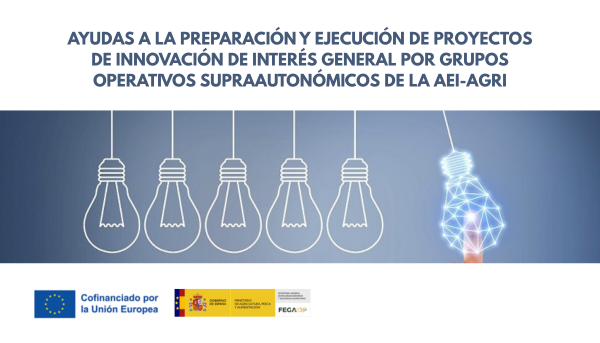 Infografía sobre la convocatoria 2025 de Grupos Operativos supra‑autonómicos AEI‑Agri, con fechas clave, presupuesto e intensidad de ayuda.