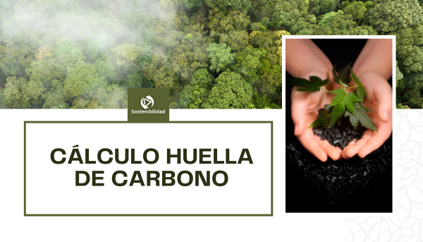 Vista aérea de un bosque con niebla en la parte superior, junto a un recuadro que muestra unas manos sosteniendo una pequeña planta, y el texto “Cálculo Huella de Carbono” enmarcado.